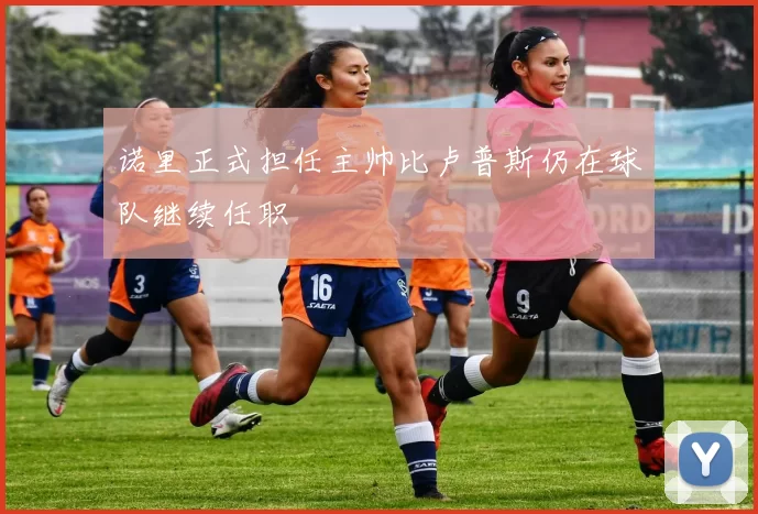 诺里正式担任主帅比卢普斯仍在球队继续任职